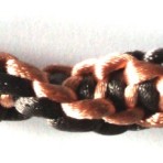 DNA 016