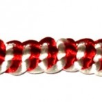 NDZ 001