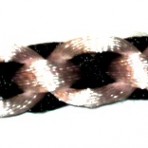 Nxx 002
