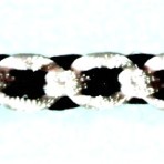 nxx 008
