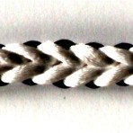VS 011