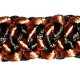 lbb 004