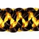 lbb 007