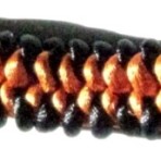 MSK008