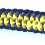 MSK010