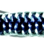 msk011