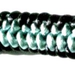 msk016