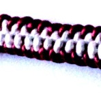MSK017