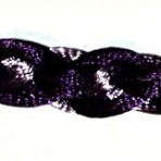 nxx 005