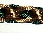 nxx 013