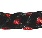 nxx 016